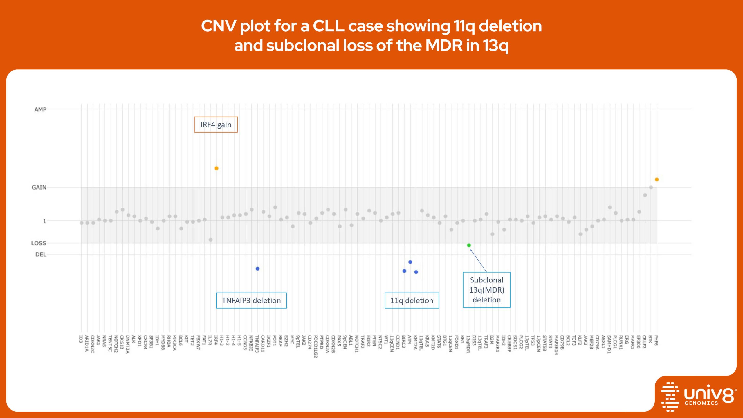 CNA plot for a CLL case showing 11q deletion and subclonal loss of the MDR in 13q