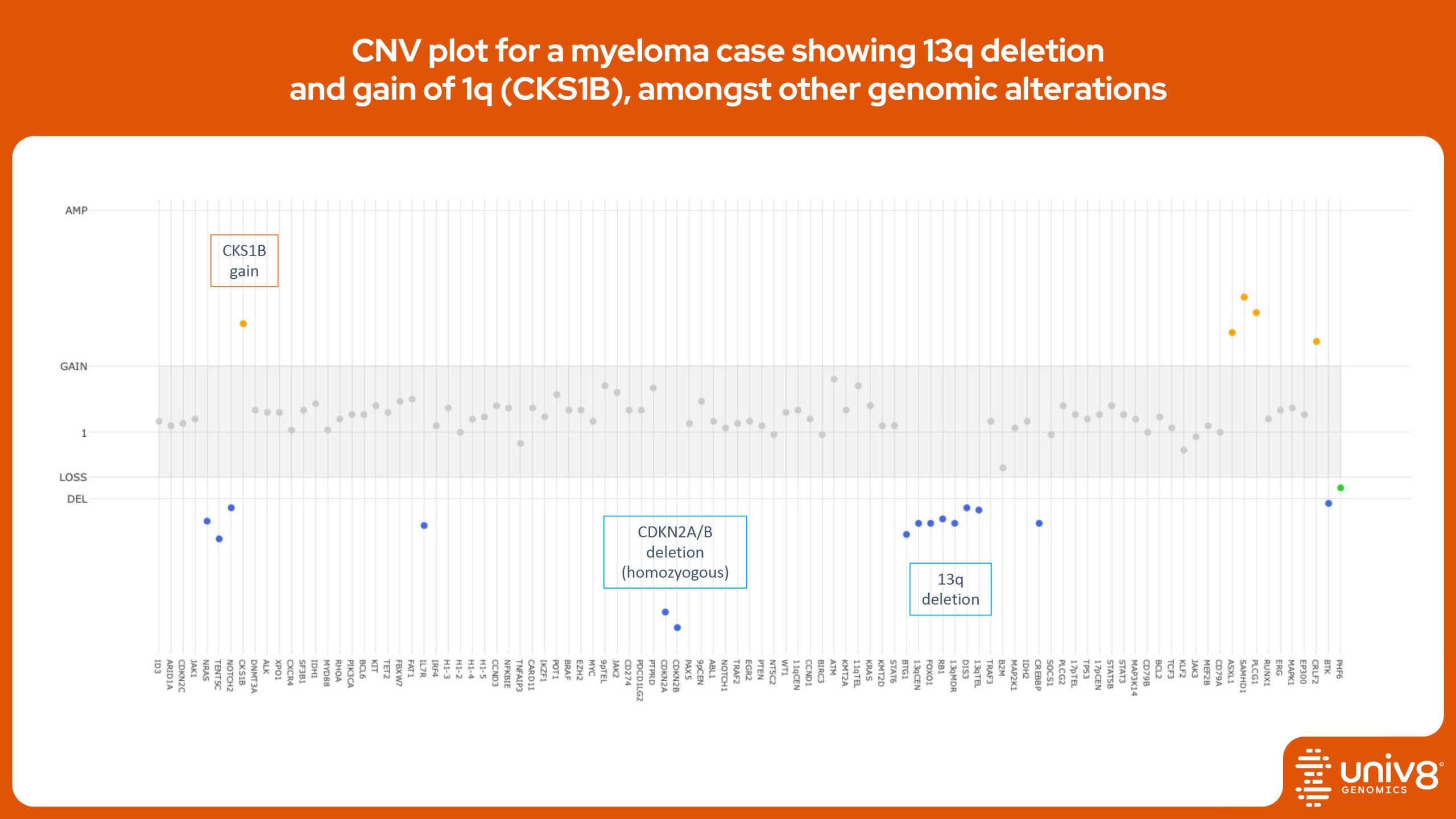 CNA plot for a myeloma case showing 13q deletion and gain of 1q (CKS1B), amongst other genomic alterations