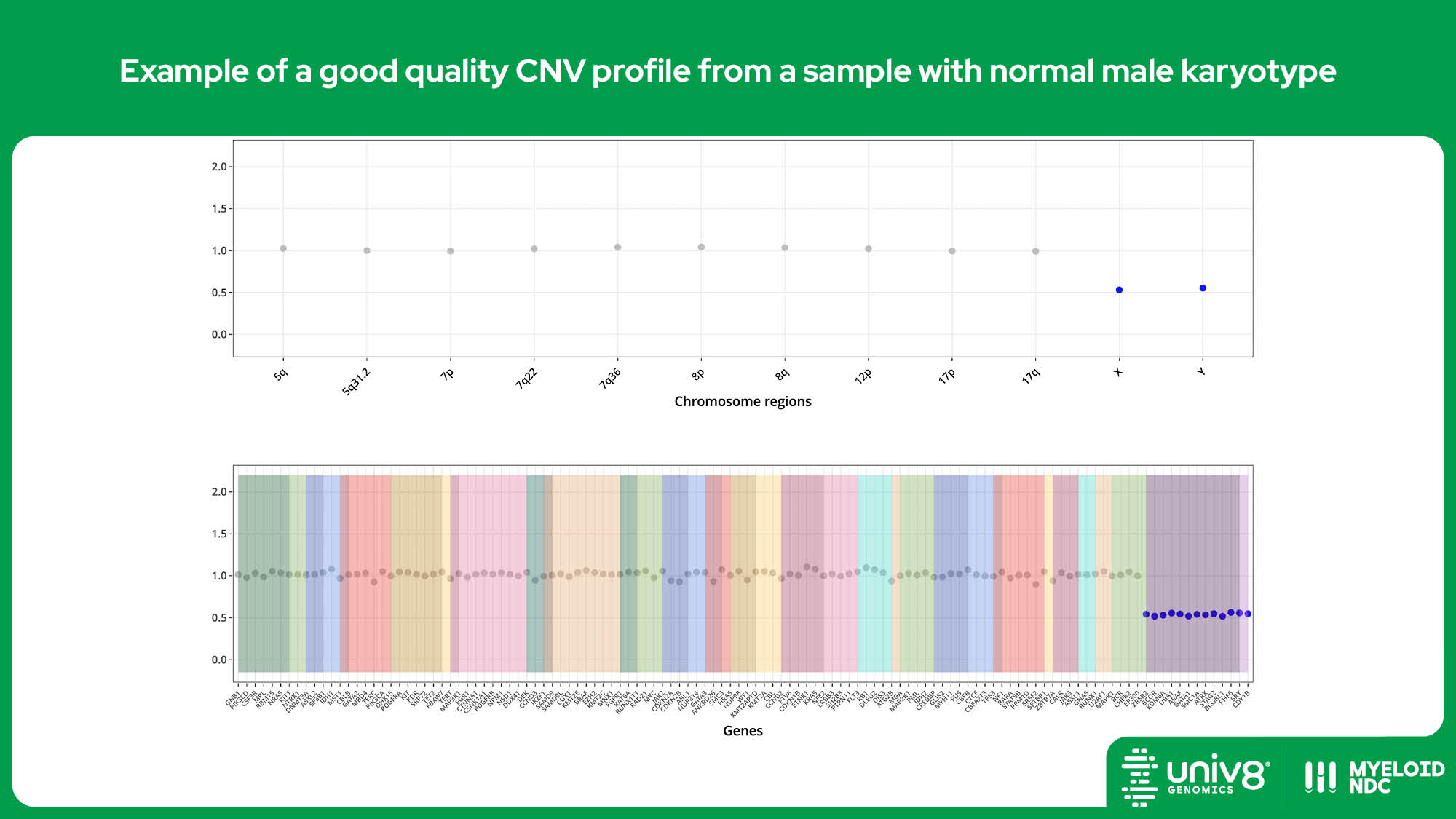 Example of a good quality CNV profile from a sample with normal male karyotype