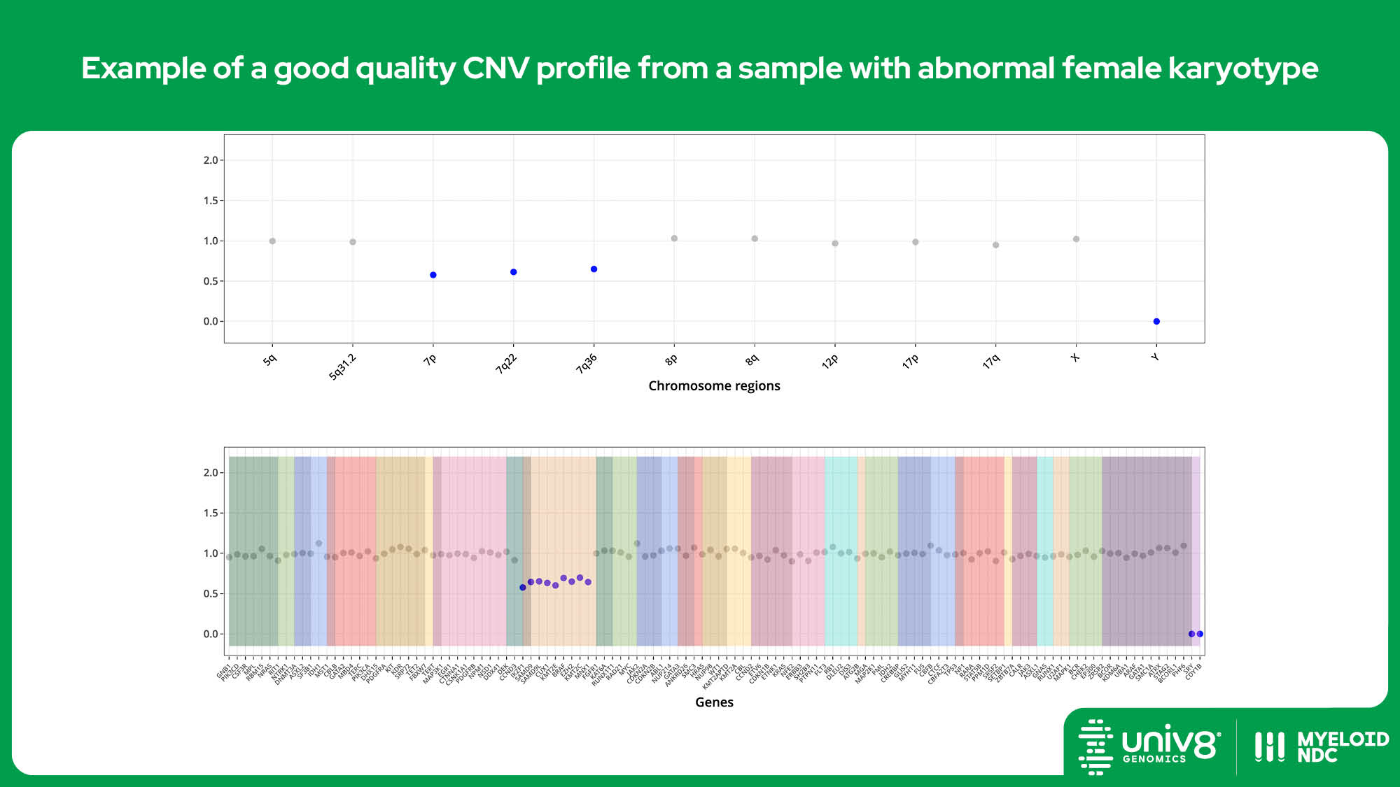Example of a good quality CNV profile from a sample with abnormal female karyotype