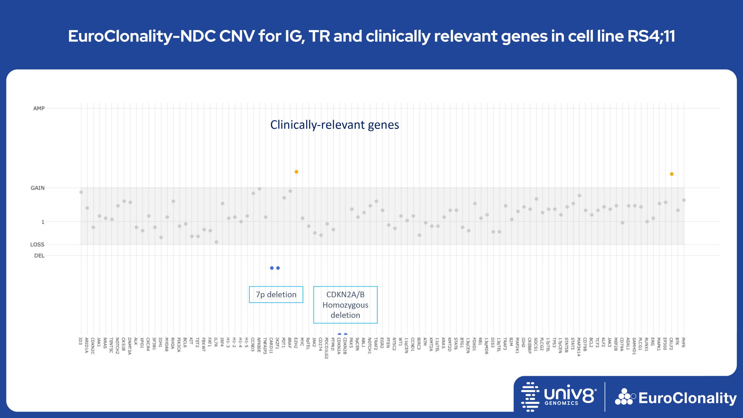 EuroClonality-NDC CNV for IG, TR and clinically relevant genes in cell line RS4;11