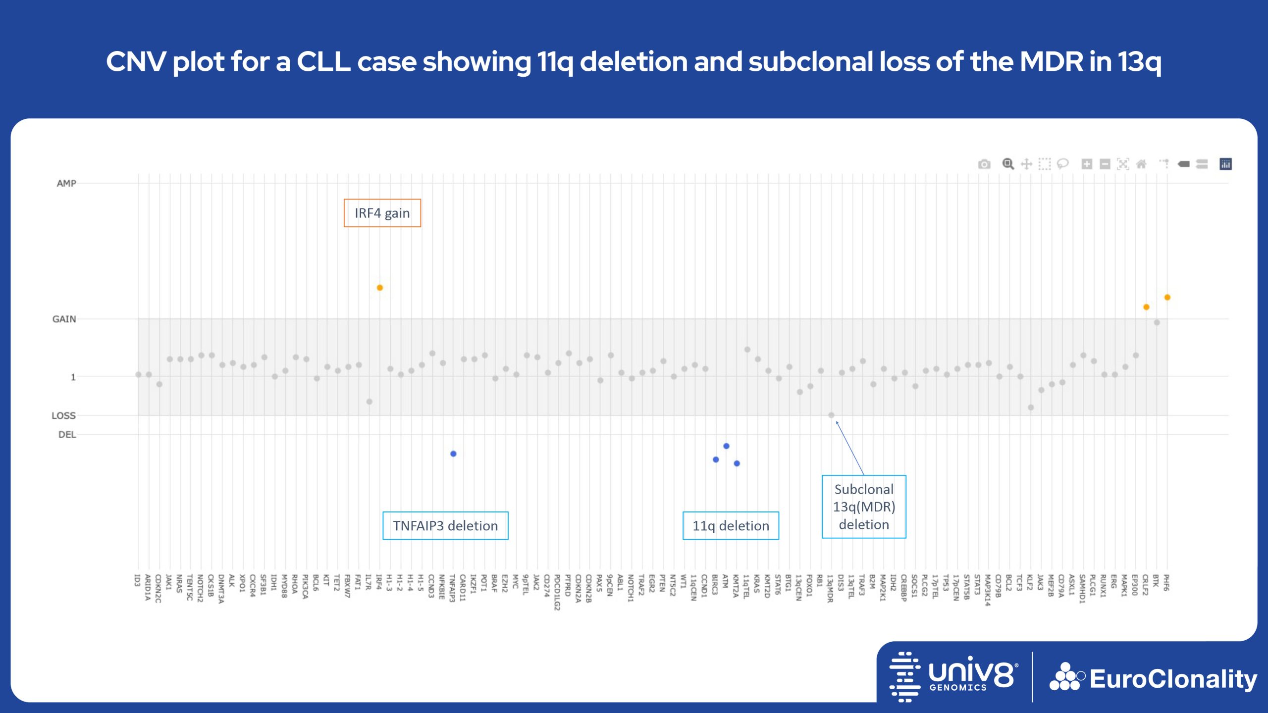 CNV plot for a CLL case showing 11q deletion and subclonal loss of the MDR in 13q