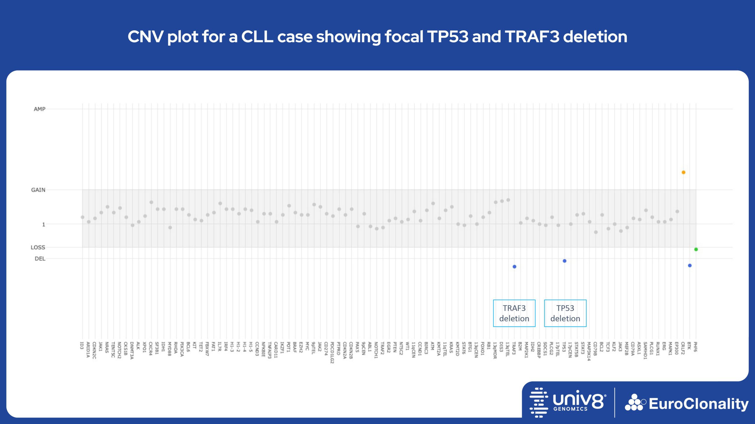 CNV plot for a CLL case showing focal TP53 and TRAF3 deletion