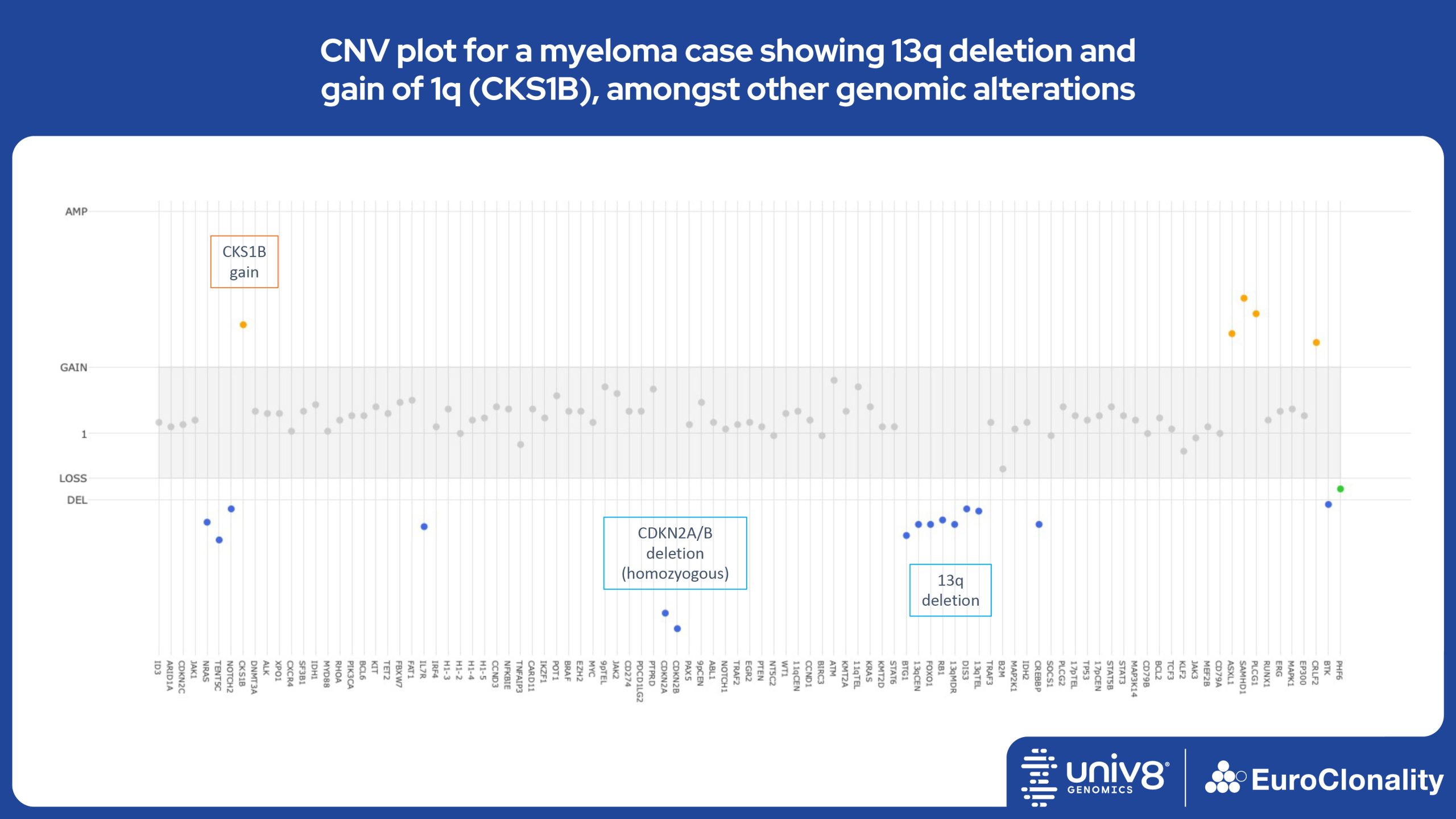 CNV plot for a myeloma case showing 13q deletion and gain of 1q (CKS1B), amongst other genomic alterations